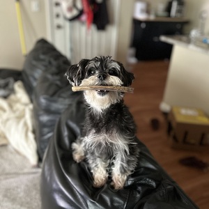 Fundraising Page: Camille Selano